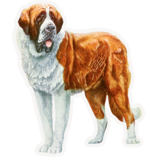 Vintage St. Bernard Sticker