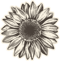 Vintage Sunflower Illustration Sticker