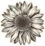 Vintage Sunflower Illustration Sticker