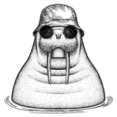 Vintage Walrus In Sunglasses Sticker