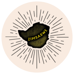 Vintage Zimbabwe Map Grunge Sticker