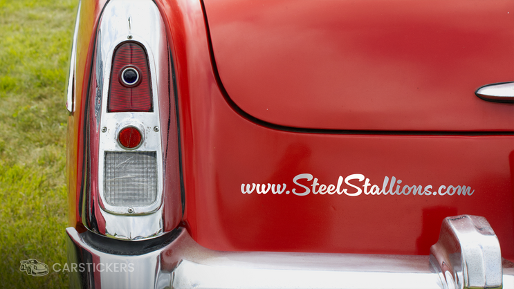 Vinyl lettering decal of car club url on rear bumper.