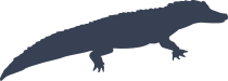 Violent Alligator Crocodile Sticker