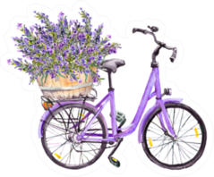 Violet Bicycle With Lavender Flowers Bouquet Sticker