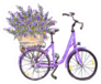 Violet Bicycle With Lavender Flowers Bouquet Sticker