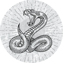 Viper Snake. Hand Drawn Illustration With Star Rays Sticker