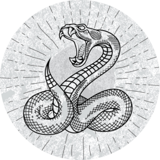 Viper Snake. Hand Drawn Illustration With Star Rays Sticker
