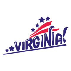 Virginia City Typography USA Sticker