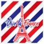 Vive La France Sticker