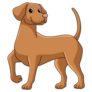 Vizsla Cute Cartoon Sticker