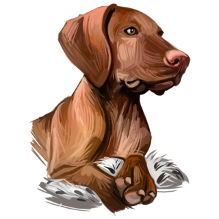 Vizsla Dog Breed Sticker