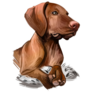 Vizsla Dog Breed Sticker