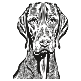 Vizsla Dog Lines Sticker