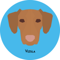 Vizsla Face On Blue Sticker