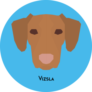 Vizsla Face On Blue Sticker
