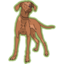 Vizsla Green Sticker