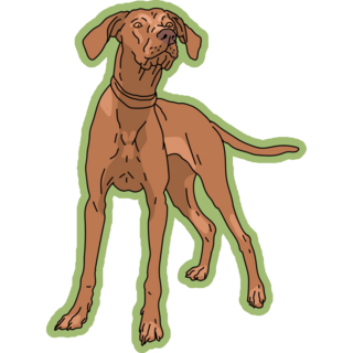 Vizsla Green Sticker
