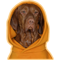 Vizsla Hoodie Orange Sticker
