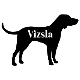 Vizsla Silhouette Sticker