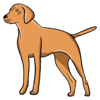 Vizsla Simple Sticker