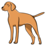 Vizsla Simple Sticker