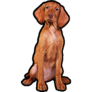 Vizsla Sitting Black Sticker