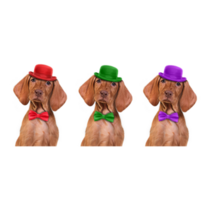 Vizsla With Colored Hats Sticker