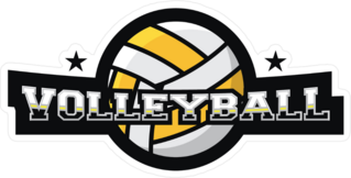Volleyball 3D Text Sticker