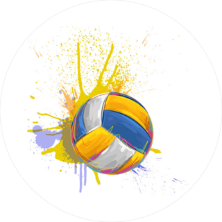 Volleyball Paint Splatter Sticker