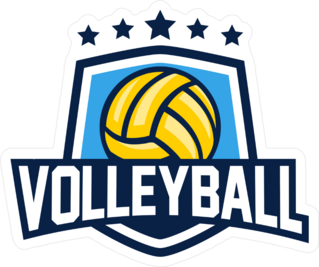 Volleyball Shield Sticker