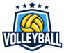 Volleyball Shield Sticker
