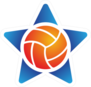 Volleyball Star Logo Sticker