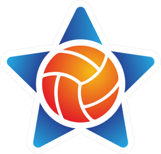 Volleyball Star Logo Sticker