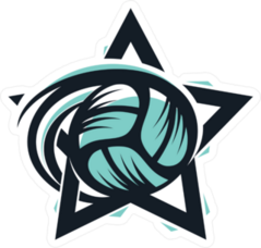 Volleyball Star Sport Logo Sticker