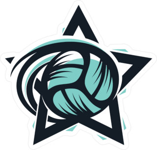 Volleyball Star Sport Logo Sticker