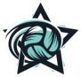 Volleyball Star Sport Logo Sticker