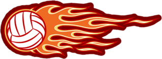 Volleyball With Orange and Yellow Hotrod Flames Sticker
