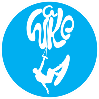 Wakeboard  Logo Sticker
