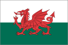 Wales Flag Sticker