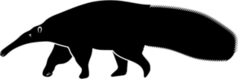 Walking Anteater Sticker