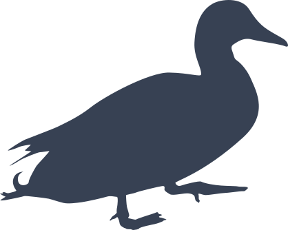 Walking Duck Sticker