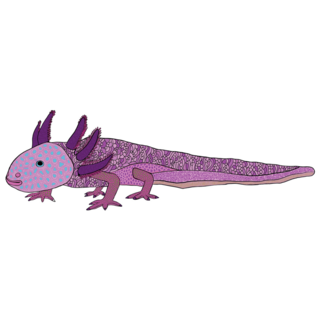 Walking Fish Axolotl Sticker