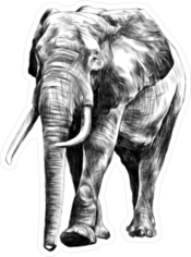 Walking Full Elephant Sticker