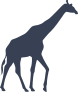 Walking Giraffe Sticker