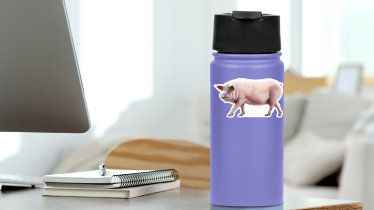 Walking Pig Isolated On White Sticker on a Water Bottle (New) example