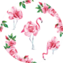 Wallpaper Tropic Pink Flamingo And Rose Flowers Sticker