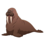 Walrus Cartoon Sticker
