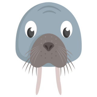 Walrus Face Front View Sticker