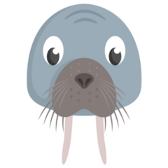 Walrus Face Front View Sticker