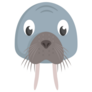 Walrus Face Front View Sticker